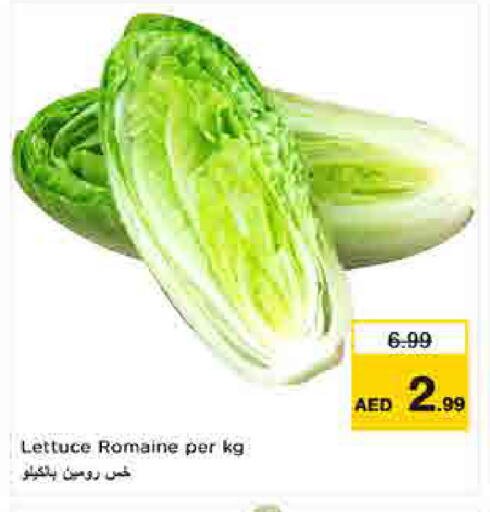 Lettuce available at لاست تشانس in الإمارات العربية المتحدة , الامارات - ٱلْفُجَيْرَة‎