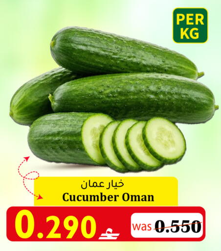 Cucumber from Oman available at Al Qoot Hypermarket in Oman - Muscat