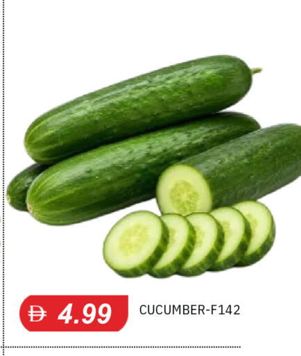 Cucumber available at TALAL MARKET in UAE - Sharjah / Ajman