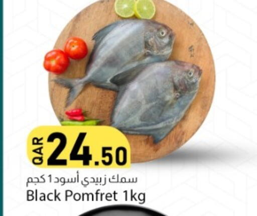 available at دانا ماركت in قطر - الريان