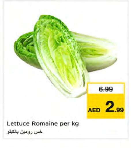 Lettuce available at نستو هايبرماركت in الإمارات العربية المتحدة , الامارات - دبي