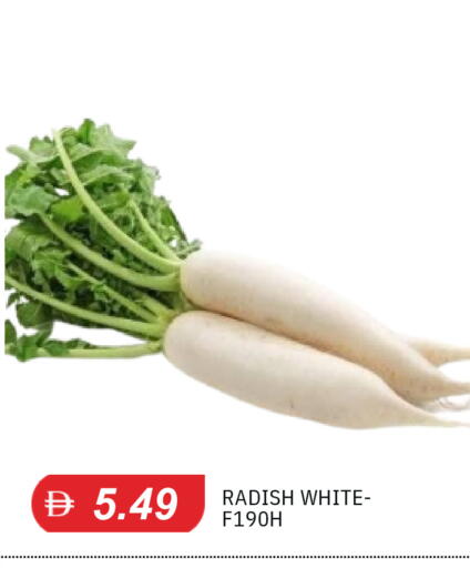 Radish available at TALAL MARKET in UAE - Sharjah / Ajman