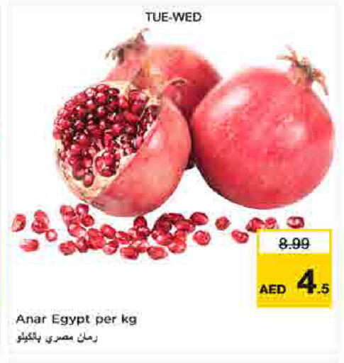 from Egypt available at لاست تشانس in الإمارات العربية المتحدة , الامارات - ٱلْفُجَيْرَة‎