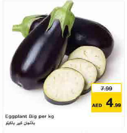 Eggplant available at لاست تشانس in الإمارات العربية المتحدة , الامارات - ٱلْفُجَيْرَة‎