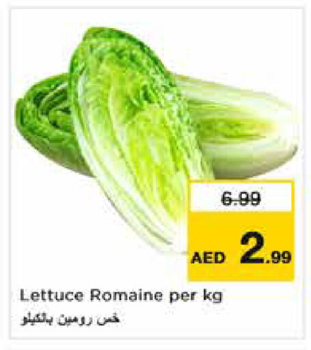 Lettuce available at Nesto Hypermarket in UAE - Sharjah / Ajman