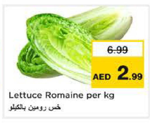 Lettuce available at Nesto Hypermarket in UAE - Sharjah / Ajman
