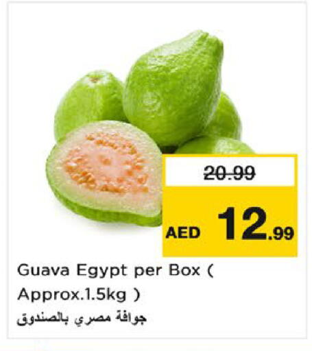 Guava from Egypt available at نستو هايبرماركت in الإمارات العربية المتحدة , الامارات - أم القيوين‎