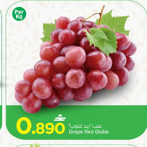 available at MARK & SAVE in Oman - Muscat