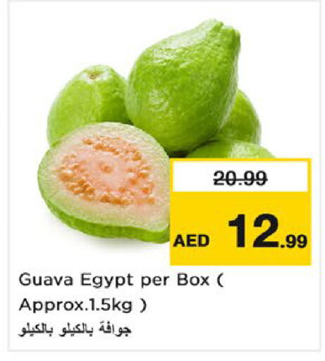 Guava from Egypt available at نستو هايبرماركت in الإمارات العربية المتحدة , الامارات - ٱلْفُجَيْرَة‎