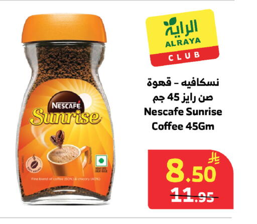 Chicory available at الراية in مملكة العربية السعودية, السعودية, سعودية - مكة المكرمة