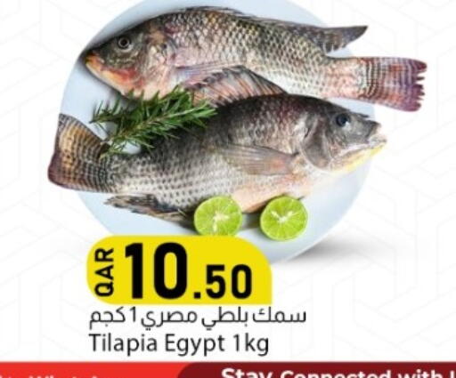 available at دانا ماركت in قطر - الشمال