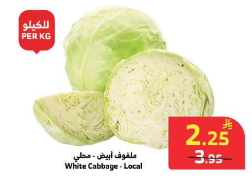 Cabbage available at الراية in مملكة العربية السعودية, السعودية, سعودية - مكة المكرمة