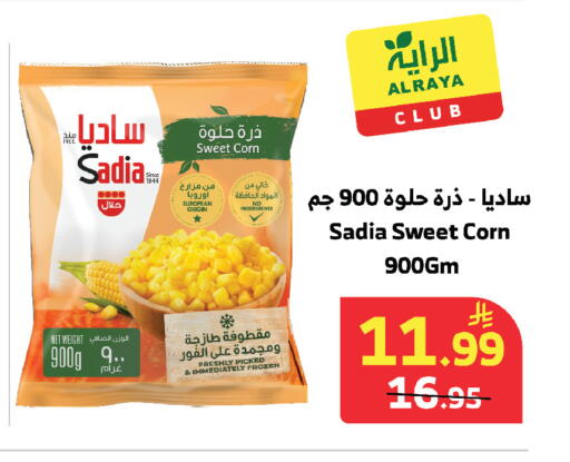 available at الراية in مملكة العربية السعودية, السعودية, سعودية - مكة المكرمة