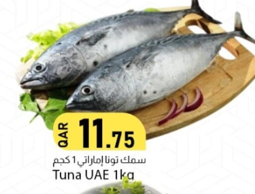 available at دانا ماركت in قطر - الريان