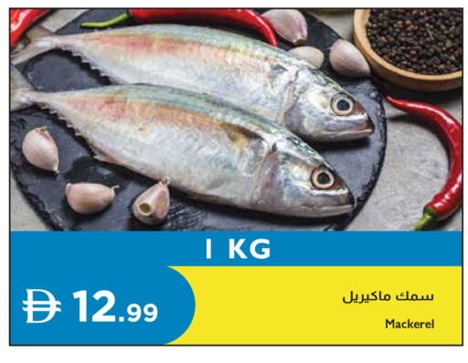 available at إسطنبول سوبرماركت in الإمارات العربية المتحدة , الامارات - رَأْس ٱلْخَيْمَة