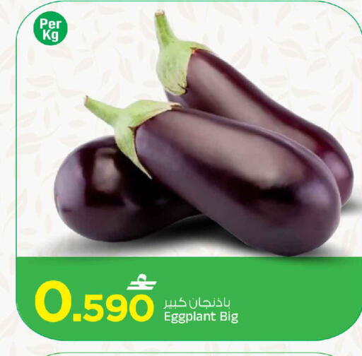 Eggplant available at MARK & SAVE in Oman - Muscat