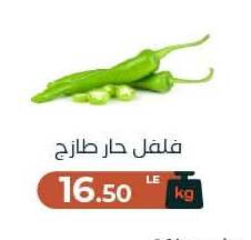 available at Arafa Market in Egypt - Cairo