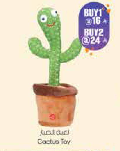 available at City Flower in KSA, Saudi Arabia, Saudi - Hail