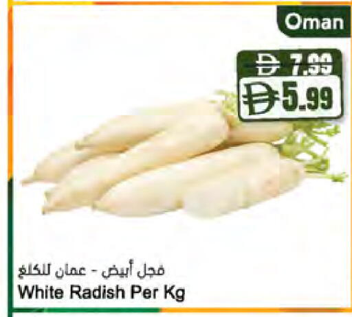 Radish من Oman متوفر لدى المايا سوبرماركت في الإمارات العربية المتحدة , الامارات - دبي
