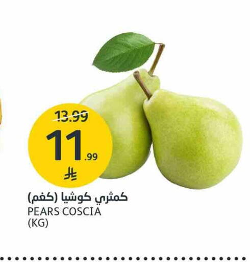 متوفر لدى أسواق الجزيرة في مملكة العربية السعودية, السعودية, سعودية - الرياض