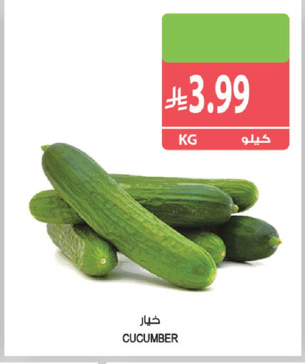 Cucumber available at المزرعة in مملكة العربية السعودية, السعودية, سعودية - جازان