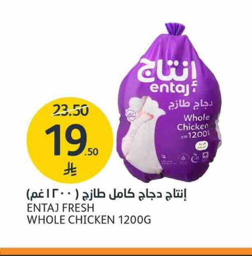 متوفر لدى أسواق الجزيرة في مملكة العربية السعودية, السعودية, سعودية - الرياض