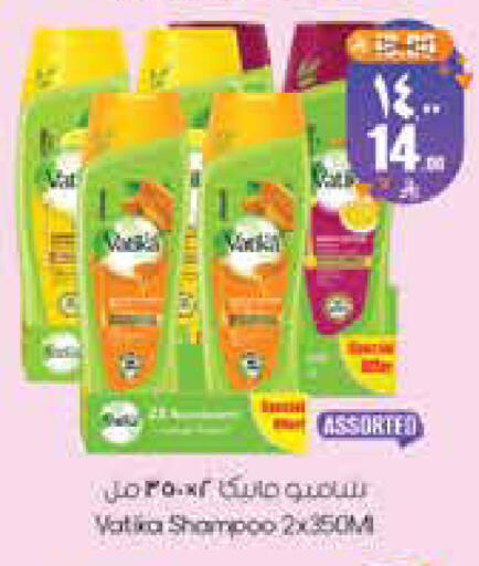 available at City Flower in KSA, Saudi Arabia, Saudi - Hail