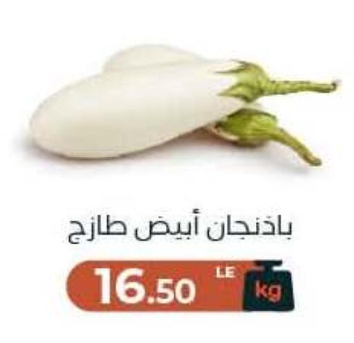 available at Arafa Market in Egypt - Cairo