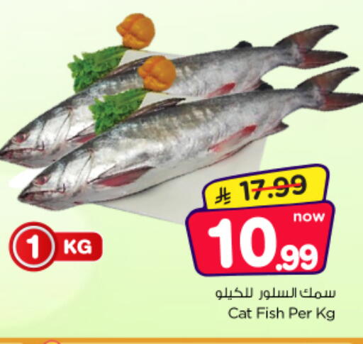 available at نستو in مملكة العربية السعودية, السعودية, سعودية - الخرج