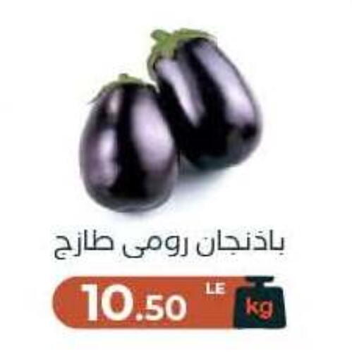available at Arafa Market in Egypt - Cairo