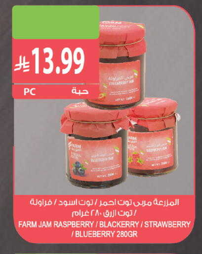 Raspberry Strawberry Blueberry BlueBerry available at Farm  in KSA, Saudi Arabia, Saudi - Al Bahah