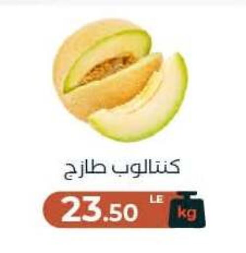 available at Arafa Market in Egypt - Cairo