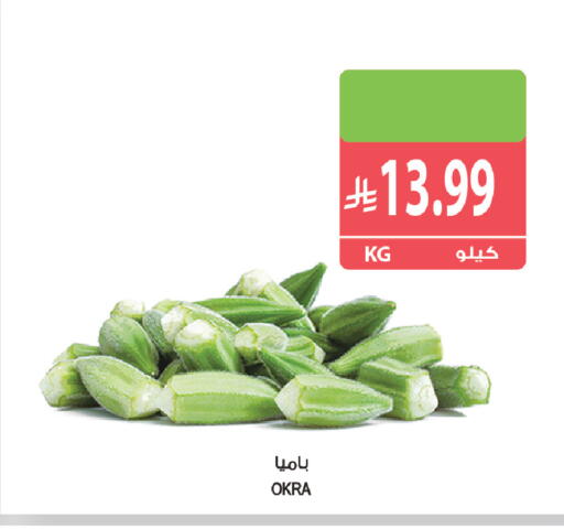 Okra available at المزرعة in مملكة العربية السعودية, السعودية, سعودية - جازان