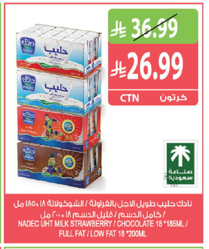 Strawberry available at Farm  in KSA, Saudi Arabia, Saudi - Jeddah