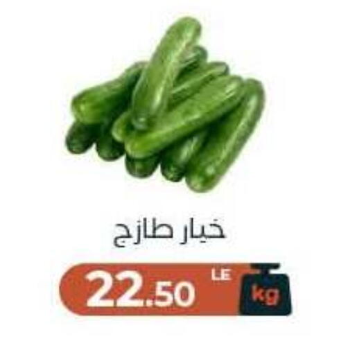available at Arafa Market in Egypt - Cairo