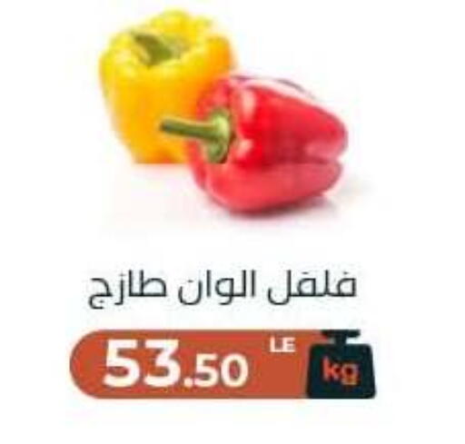 available at Arafa Market in Egypt - Cairo