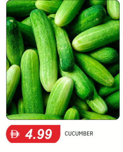 Cucumber available at TALAL MARKET in UAE - Dubai