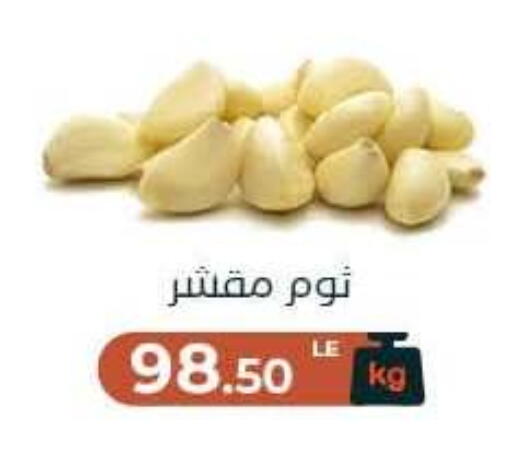 available at Arafa Market in Egypt - Cairo