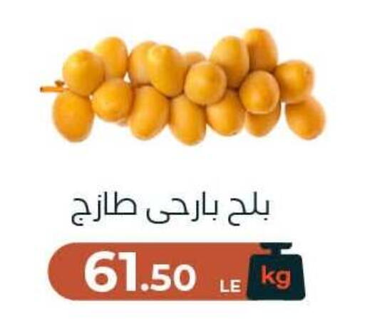 available at Arafa Market in Egypt - Cairo