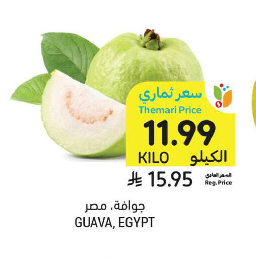 Guava from Egypt available at أسواق التميمي in مملكة العربية السعودية, السعودية, سعودية - عنيزة