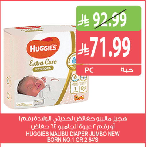 available at المزرعة in مملكة العربية السعودية, السعودية, سعودية - القطيف‎