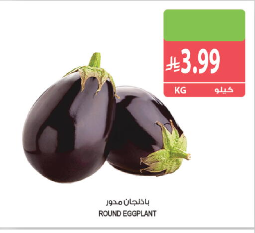 Eggplant available at المزرعة in مملكة العربية السعودية, السعودية, سعودية - القطيف‎