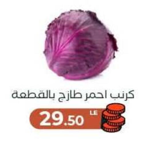 available at Arafa Market in Egypt - Cairo
