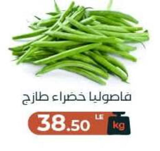 available at Arafa Market in Egypt - Cairo