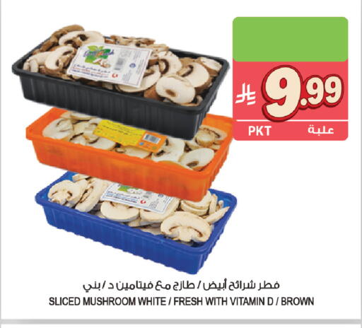 Mushroom available at المزرعة in مملكة العربية السعودية, السعودية, سعودية - القطيف‎