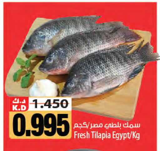 Mango available at Mango Hypermarket  in Kuwait - Kuwait City
