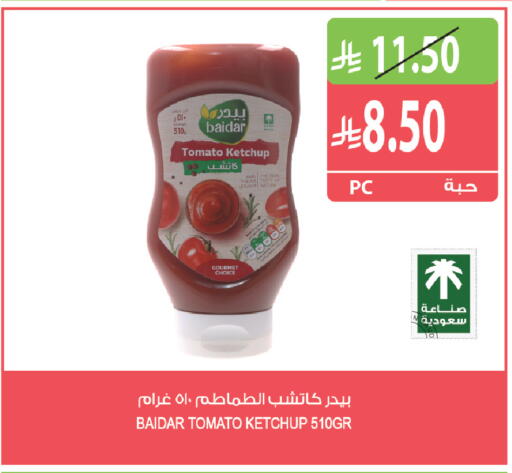 Tomato available at Farm  in KSA, Saudi Arabia, Saudi - Tabuk