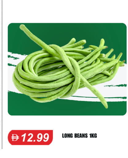 available at سوق طلال in الإمارات العربية المتحدة , الامارات - الشارقة / عجمان