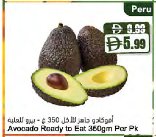 Avocado متوفر لدى المايا سوبرماركت في الإمارات العربية المتحدة , الامارات - دبي