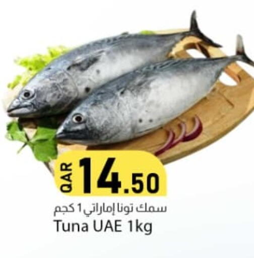 available at Dana Market in Qatar - Al Daayen